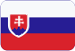 Настольный футбол Slovensky